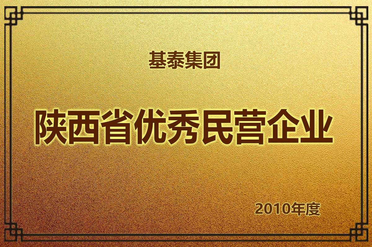 2010年度 陜西省優(yōu)秀民營(yíng)企業(yè)