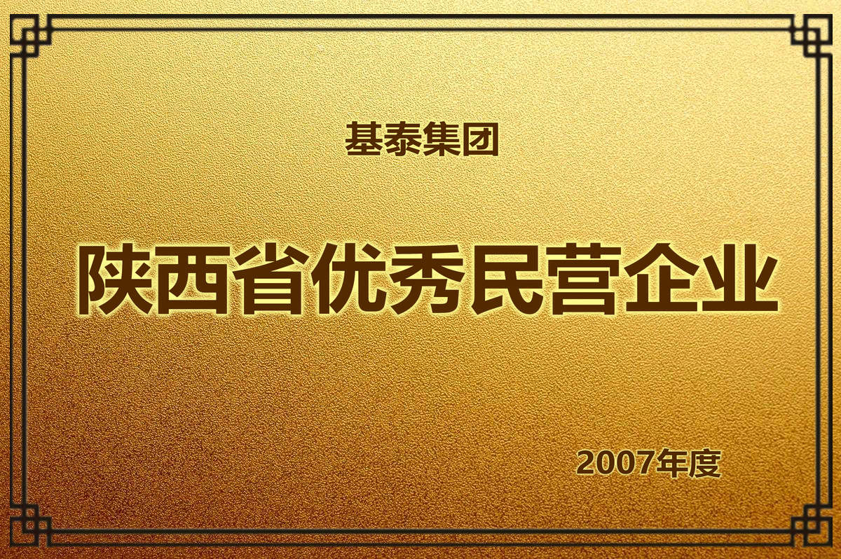 2007年度 陜西省優(yōu)秀民營(yíng)企業(yè)