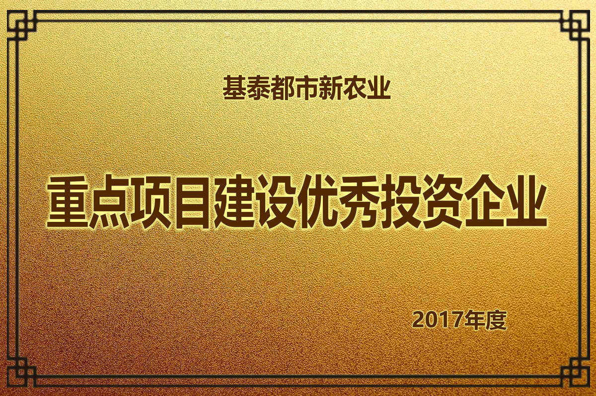 2017年度 重點(diǎn)項(xiàng)目建設(shè)優(yōu)秀投資企業(yè)