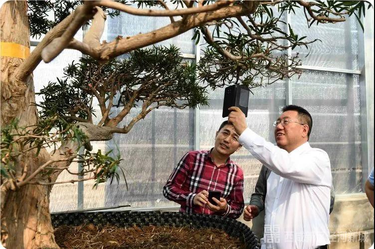 張宏偉蒞臨基泰集團(tuán)檢查指導(dǎo)工作