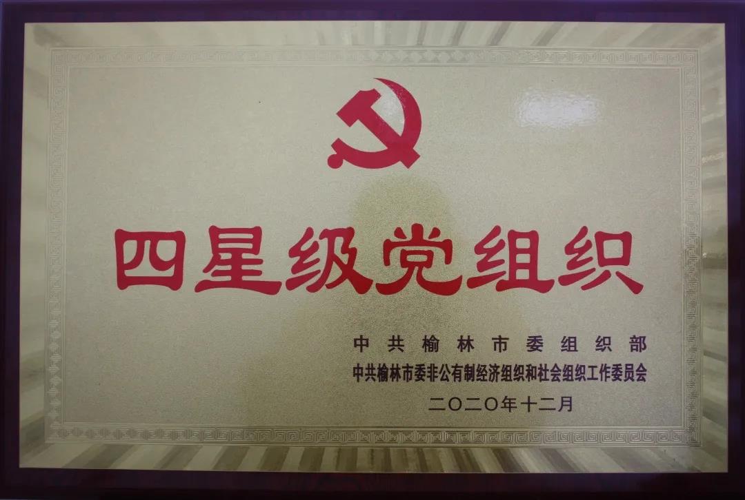 建設(shè)公司黨支部榮獲 “四星級(jí)黨組織” 榮譽(yù)稱號(hào)