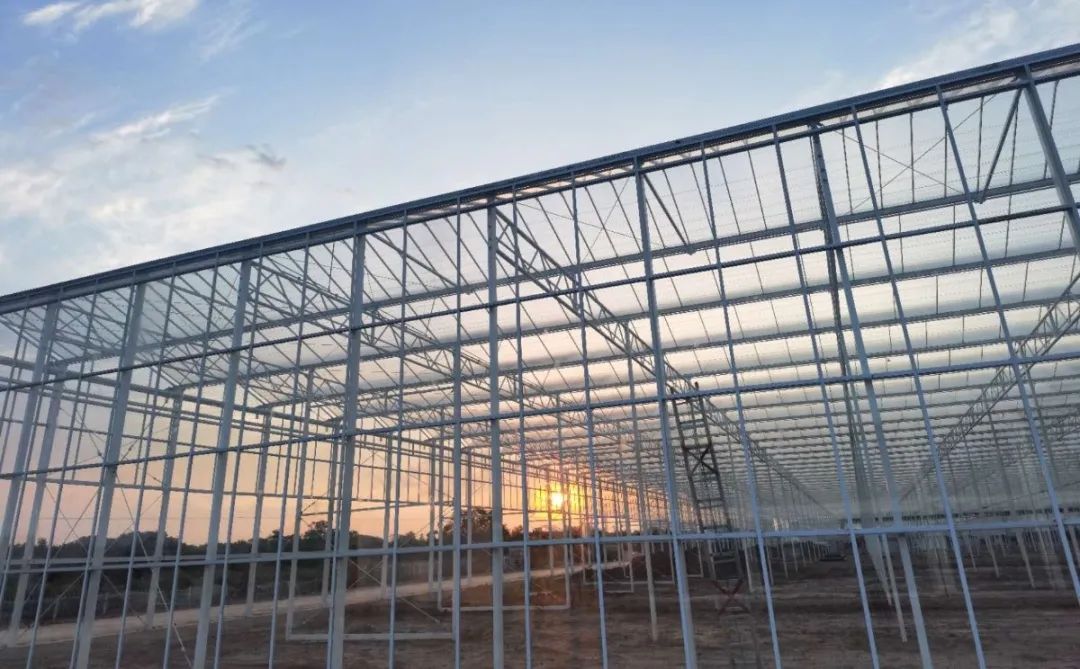 最新進(jìn)展！