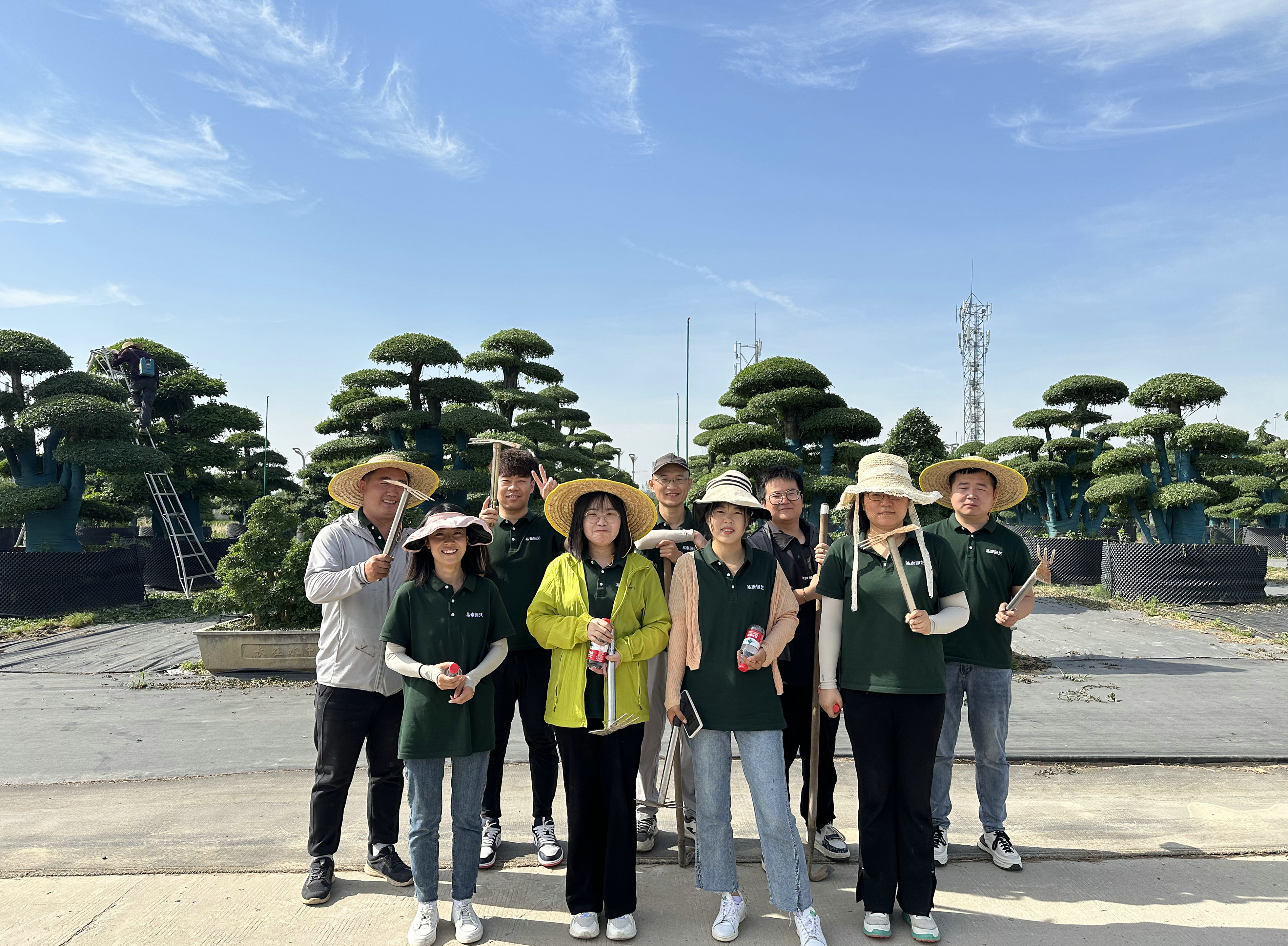 沉浸式體驗 | 來場心靈“森”呼吸！